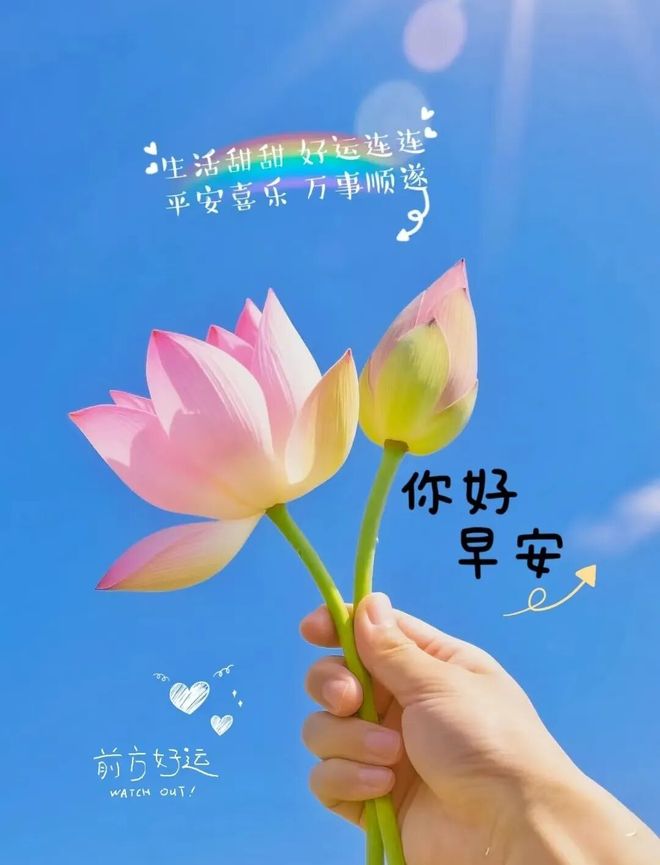 早安努力向上的正能量语录干净励志开启元气满满的一天